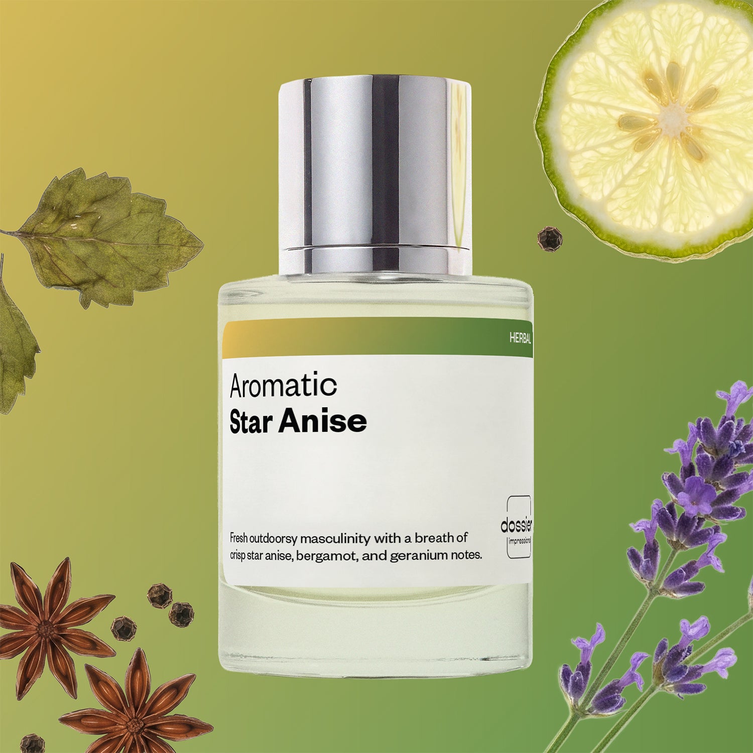 Aromatic_Star_Anise.jpg